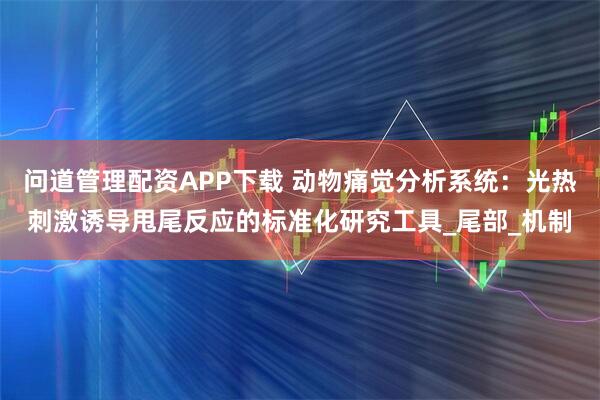问道管理配资APP下载 动物痛觉分析系统：光热刺激诱导甩尾反应的标准化研究工具_尾部_机制