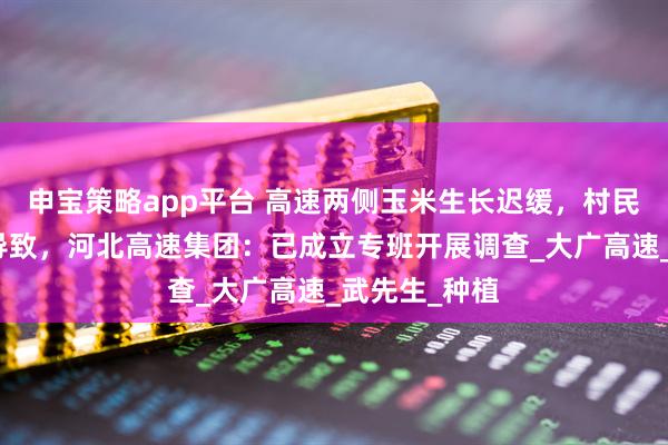 申宝策略app平台 高速两侧玉米生长迟缓，村民怀疑除草剂导致，河北高速集团：已成立专班开展调查_大广高速_武先生_种植