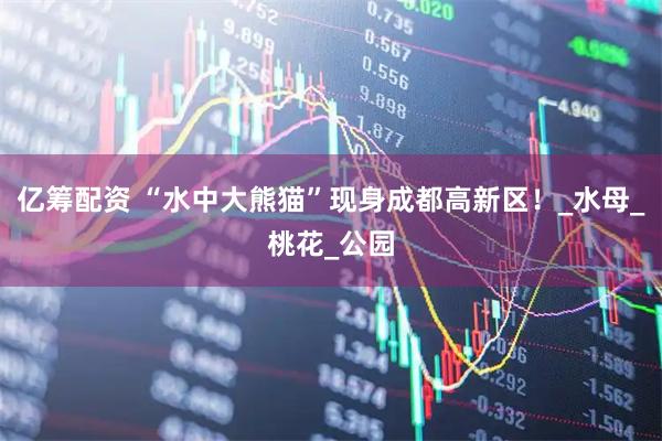 亿筹配资 “水中大熊猫”现身成都高新区！_水母_桃花_公园