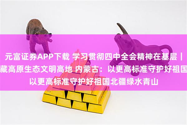 元富证券APP下载 学习贯彻四中全会精神在基层｜青海：打造青藏高原生态文明高地 内蒙古：以更高标准守护好祖国北疆绿水青山