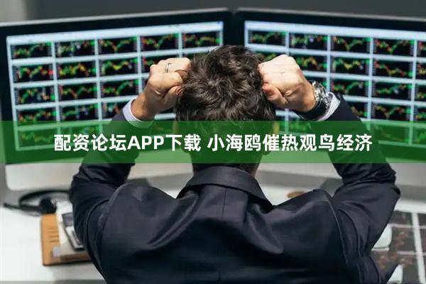 配资论坛APP下载 小海鸥催热观鸟经济
