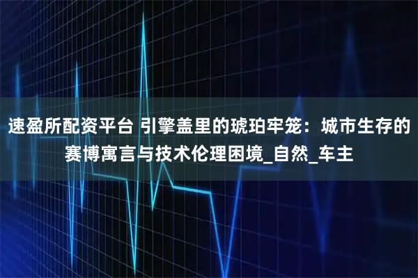 速盈所配资平台 引擎盖里的琥珀牢笼：城市生存的赛博寓言与技术伦理困境_自然_车主