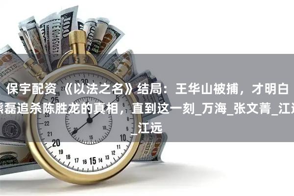 保宇配资 《以法之名》结局：王华山被捕，才明白熊磊追杀陈胜龙的真相，直到这一刻_万海_张文菁_江远