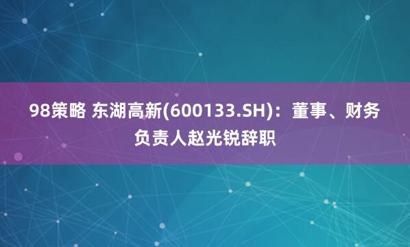 98策略 东湖高新(600133.SH)：董事、财务负责人赵光锐辞职