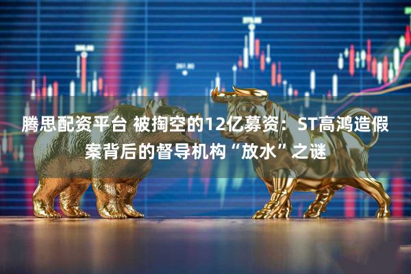 腾思配资平台 被掏空的12亿募资：ST高鸿造假案背后的督导机构“放水”之谜